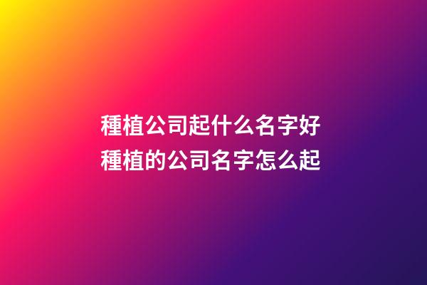 種植公司起什么名字好 種植的公司名字怎么起